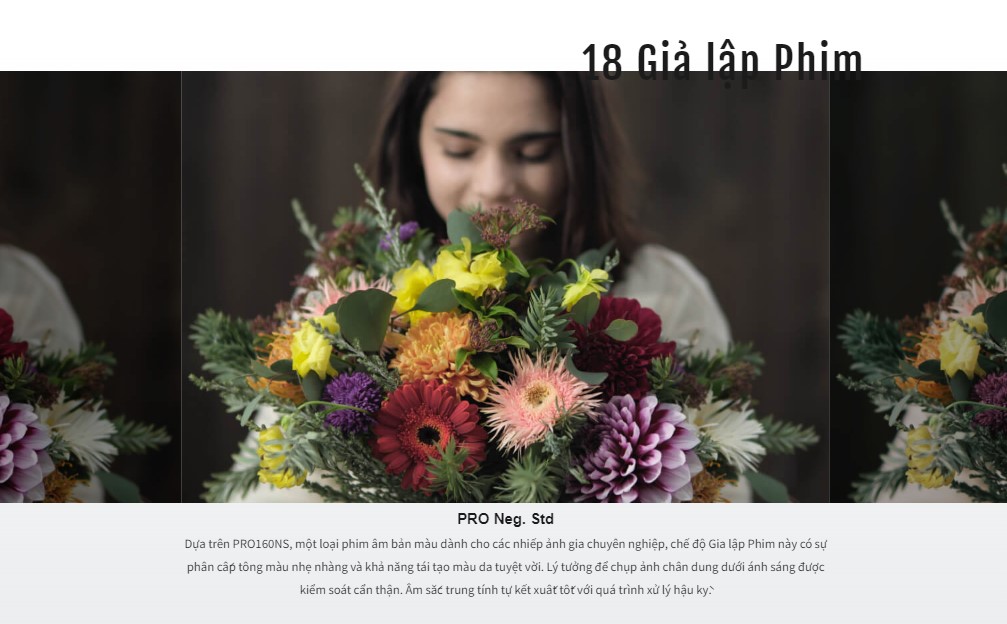 Với 18 chế độ giả lập phim, X-E4