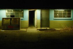 Fluorescent Night