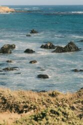 Pacific Blues