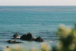 Pacific Blues